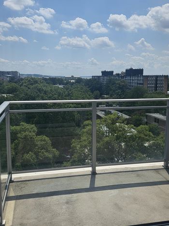 Balconies or terraces*